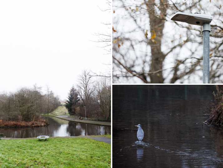 Images of a heron standing in water, new lighting against a backdrop of trees and the pond and path network within Castlemilk Park, Glasgow.