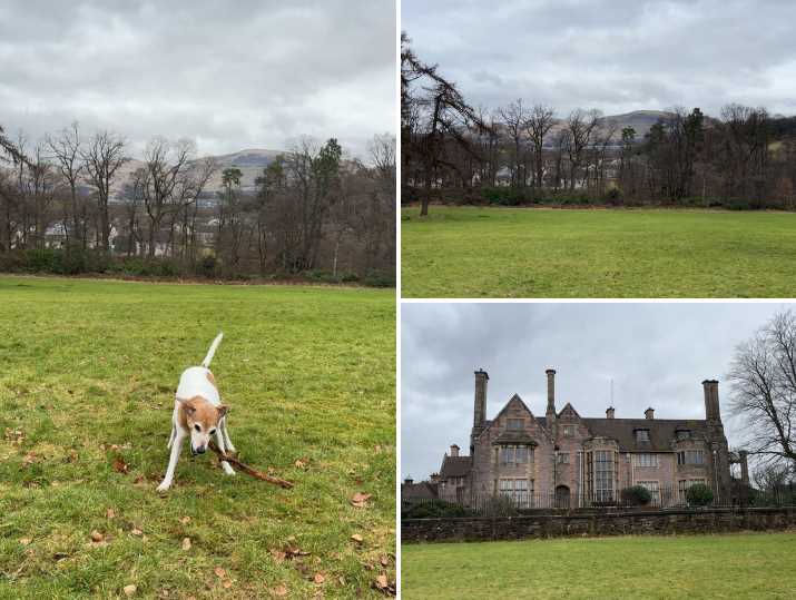 A montage of three images showing a Jack Russell playing with a stick, a view over woodland towards the Ochil Hills and the Gean House in Alloa.