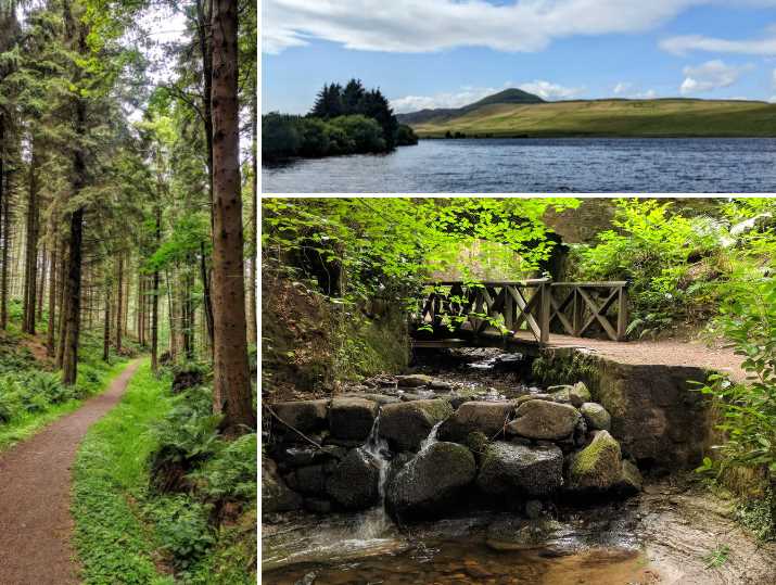 A montage of three images showing a winding path through a thick, green woodland near Maspie Den, a wood walkway under a stone bridge and the view over a reservoir toward the West Lomond hill.