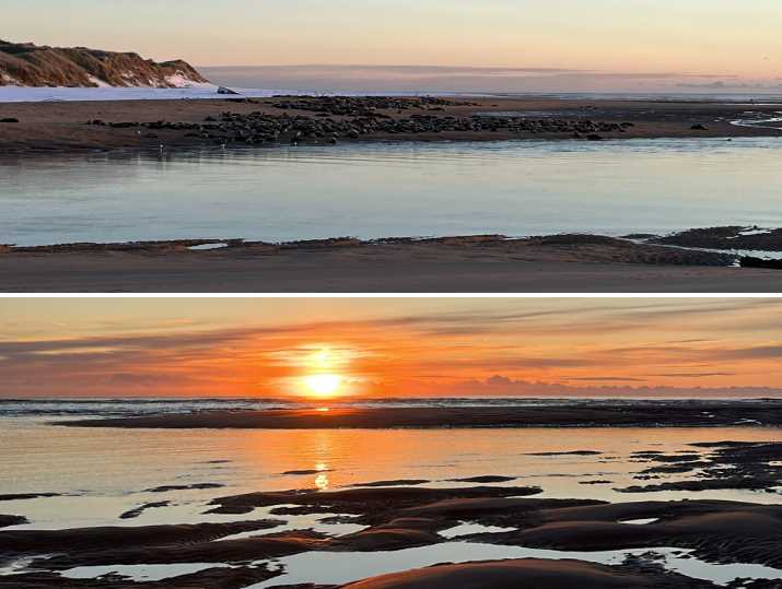 Two images showing the Newburgh beach, with the top image showing basking seals on a beach and bottom, the beautiful sunrise over the beach at low tide.