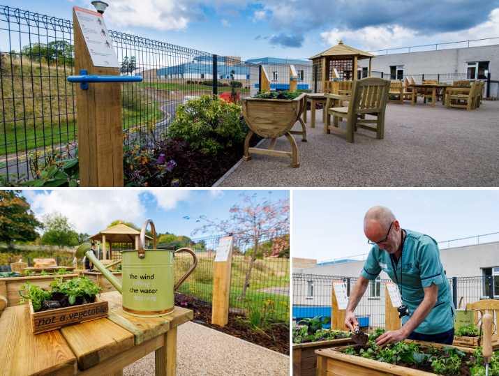 Raised beds, seating, newly planted areas and poem-objects within the newly renovated outdoor space at Tay Ward, PRI.